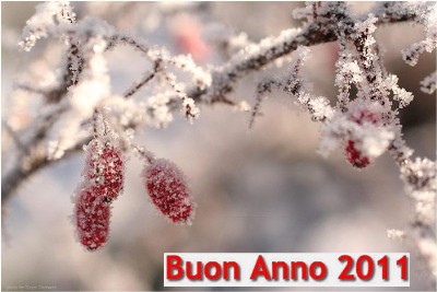 AUGURI PER IL NUOVO ANNO CHE VIENE