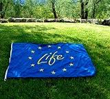 INVITO A PRESENTARE PROPOSTE PER SOVVENZIONI DI FUNZIONAMENTO DELLE ONG ATTIVE NEL CAMPO AMBIENTALE