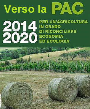 AVANTI VERSO PSR E PAC 2014 - 2020