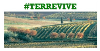 TERREVIVE: 5.500 ETTARI DI TERRENI AGRICOLI PUBBLICI IN VENDITA E LOCAZIONE. PRELAZIONE AI GIOVANI U