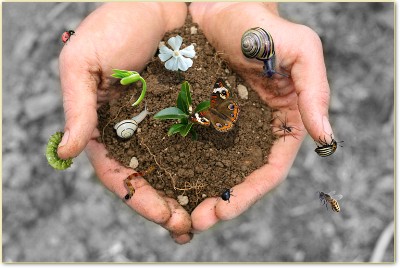 NUOVA LEGGE SULLA BIODIVERSITÀ