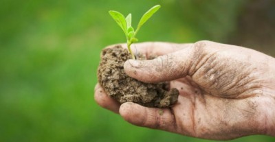 SÌ A RISOLUZIONE SU EFFETTI CAMBIAMENTI CLIMA IN AGRICOLTURA