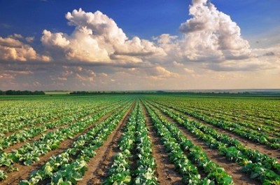 Approvata una mozione sull’Imu agricola.