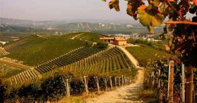Una riforma del settore vitivinicolo, per ridare ali alla qualità del territorio