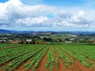 Approvato alla Camera il decreto per il rilancio del settore agricolo in crisi