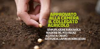 Approvato il Collegato Agricolo