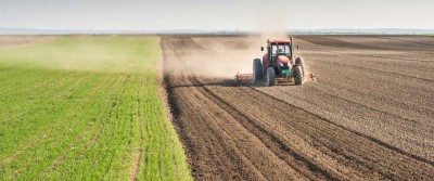 APPROVATO IL COLLEGATO AGRICOLO