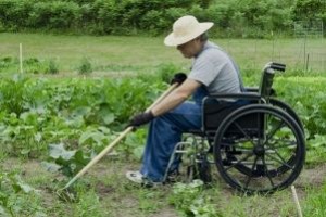 APPROVATA LA RISOLUZIONE DI MARZO 2016 IN TEMA DI AGRICOLTURA SOCIALE