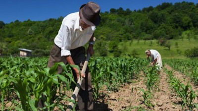 APPROVATO ALLA CAMERA IL TESTO UNICO SULL'AGRICOLTURA BIOLOGICA