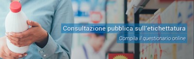 CONSULTAZIONI DEI CITTADINI