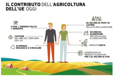 CONSULTAZIONE PUBBLICA PER GLI AIUTI DI STATO IN AGRICOLTURA, AREE RURALI E SILVICOLTURA