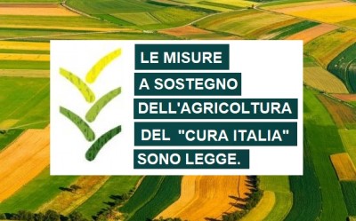 LE MISURE A SOSTEGNO DELL'AGRICOLTURA DEL DECRETO 