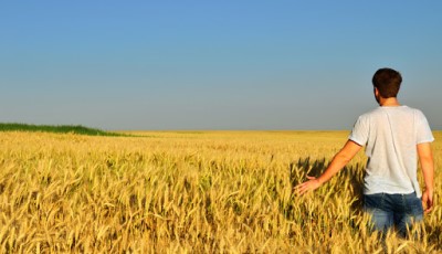 ESONERO CONTRIBUTIVO PER LE NUOVE ISCRIZIONI ALLA PREVIDENZA AGRICOLA