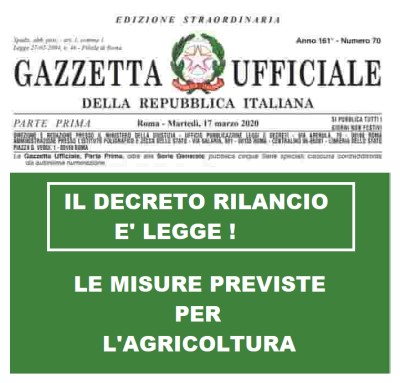 DL RILANCIO E' LEGGE . LE MISURE AGRICOLE