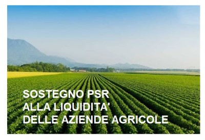 SOSTEGNO PSR A SOSTEGNO DELLA LIQUIDITA' DELLE AZIENDE AGRICOLE