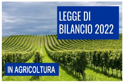 LEGGE DI BILANCIO 2022 IN AGRICOLTURA