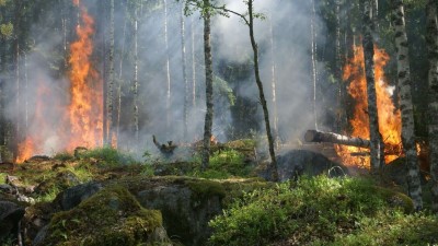 APPROVATA LEGGE DI CONVERSIONE DEL DL INCENDI BOSCHIVI E PROTEZIONE CIVILE