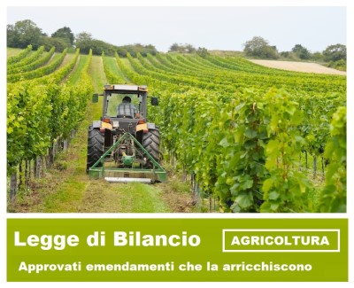 AGRICOLTURA : SI ARRICCHISCE LA LEGGE DI BILANCIO