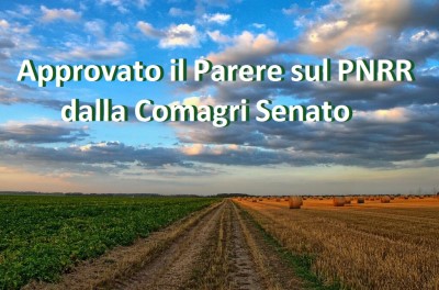 PNRR PARERE DALLA COMAGRI SENATO