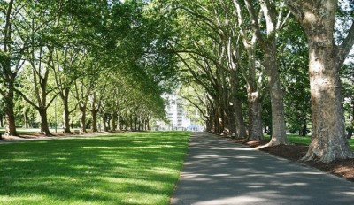 PROGRAMMA SPERIMENTALE PER LA RIFORESTAZIONE URBANA