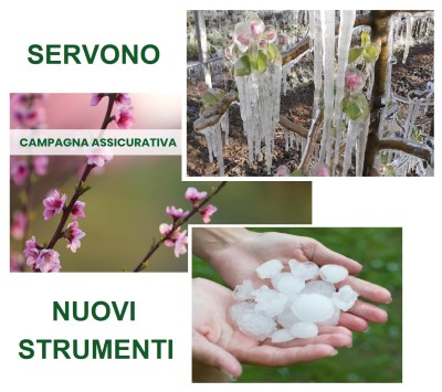 TUTELE ASSICURATIVO/MUTUALISTICHE ADEGUATE PER L'AGRICOLTURA: PRESENTATA INTERROGAZIONE IN SENATO