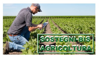 DECRETO SOSTEGNI-BIS: LE MISURE AGRICOLE