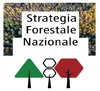 ADOTTATA LA NUOVA STRATEGIA FORESTALE EUROPEA 2030