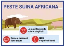 APPROVATA LA LEGGE DI CONVERSIONE DEL DL PESTE SUINA AFRICANA