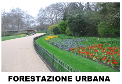 PNRR: FORESTAZIONE URBANA, PERIURBANA ED EXTRAURBANA NELLE CITTA' METROPOLITANE