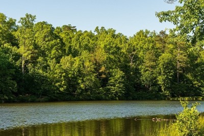 PIANO NAZIONALE ACQUA:RICHIESTA AUTORIZZAZIONE A TRATTARE UN AFFARE ASSEGNATO IN COMM. AGRICOLTURA