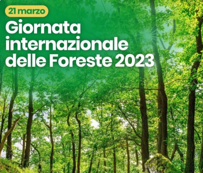GIORNATA MONDIALE DELLE FORESTE